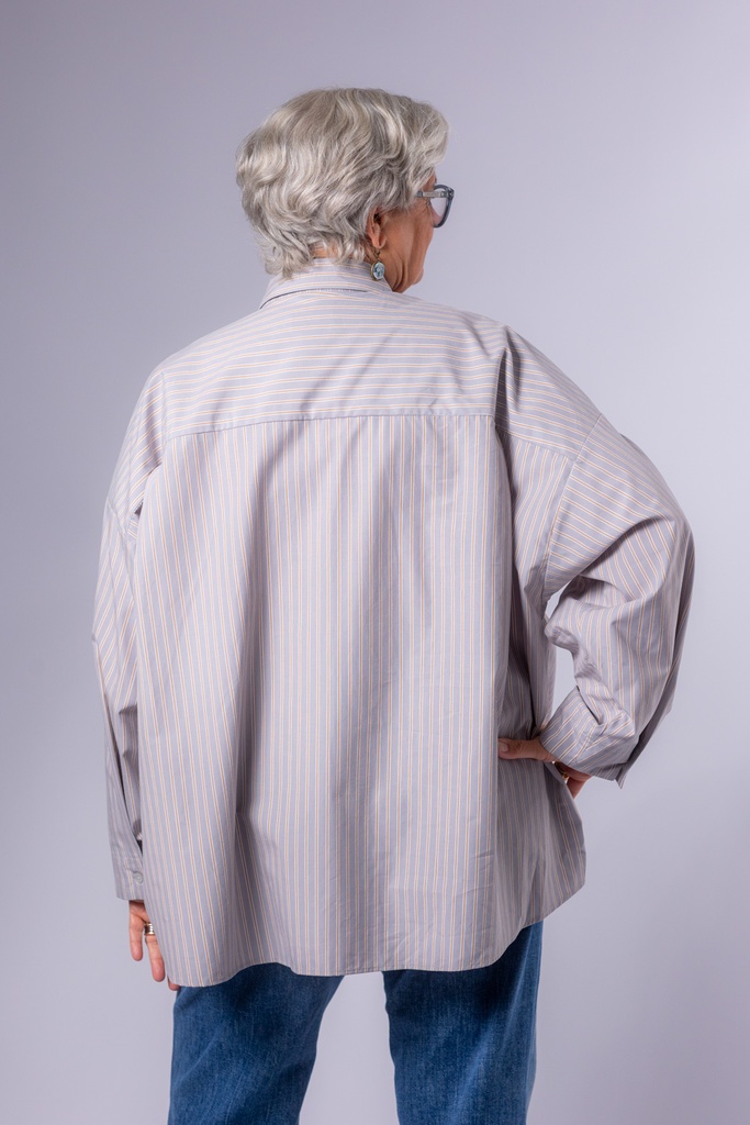 91029_GS_Back